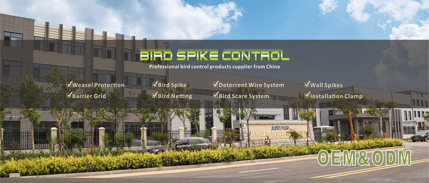 Bird Spikes Factory