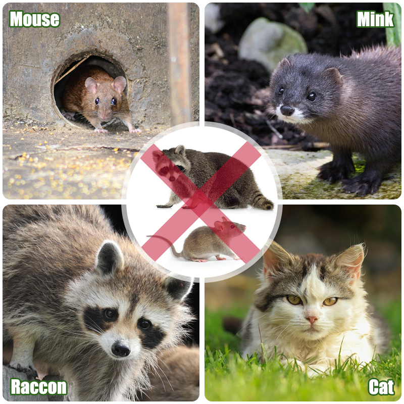 Marten Repellent Belts Model: NO-GKMPB - Image 5