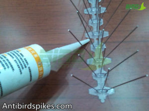 DIY bird spikes