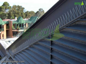 PC base stainless steel bird spikes under eaves-3_1