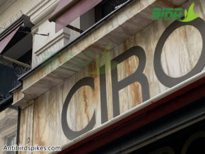 Stainless steel bird spikes are applied to store signs-2