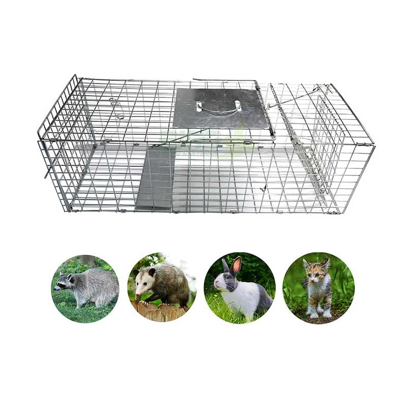 animal trap cage