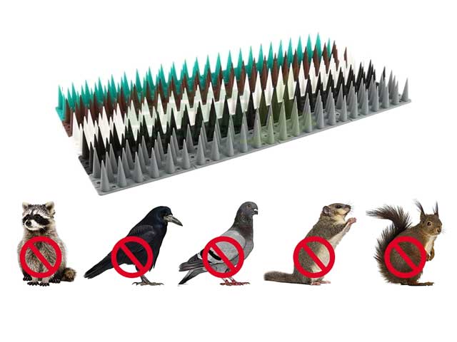 Plastic Bird Repellent Fence Spikes