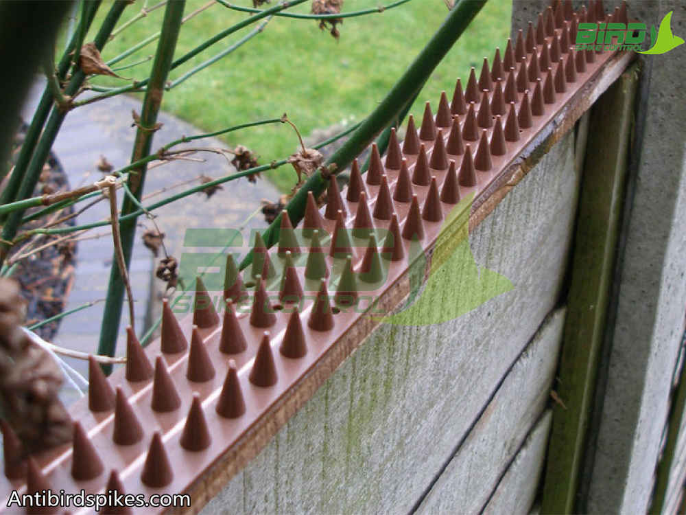 Fence Wall Spikes SILVER • Effective AGAINST Humans Cats Foxes and Large Birds 