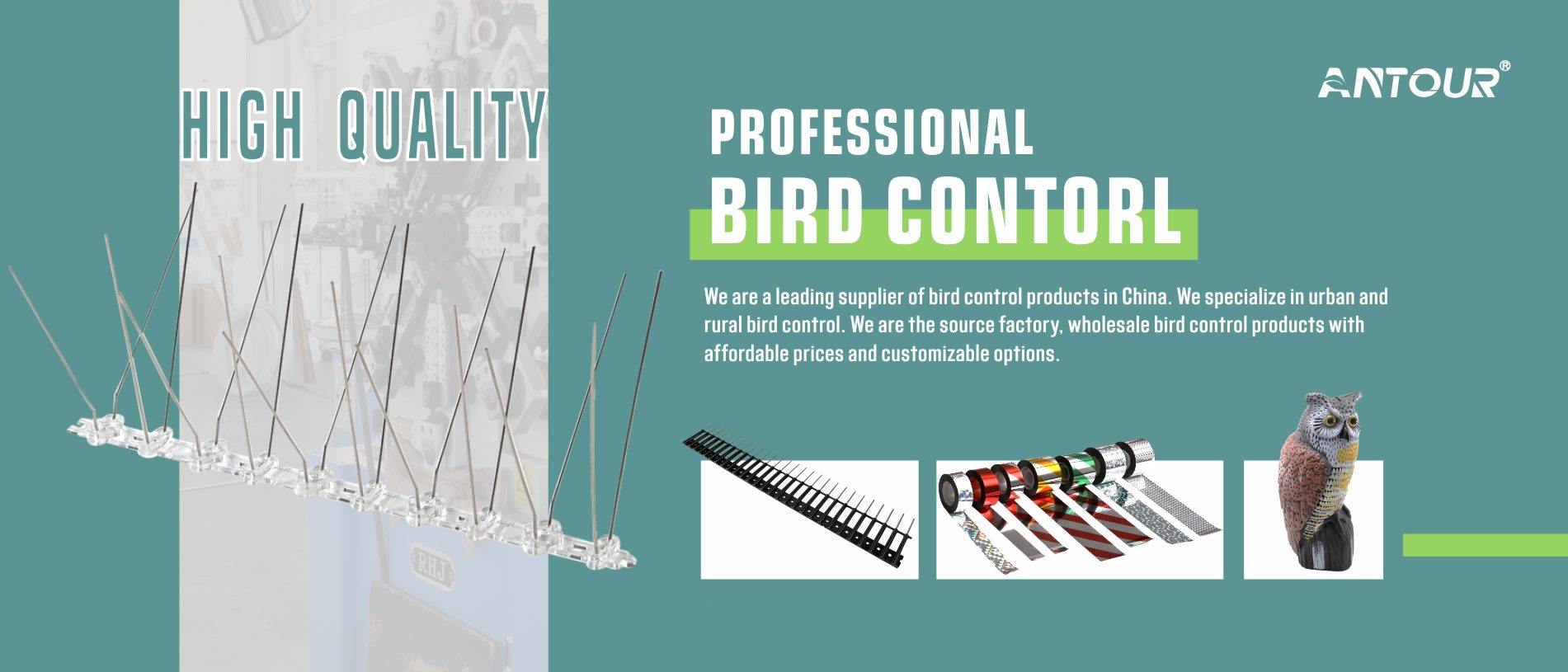 Bird Control Bird Control