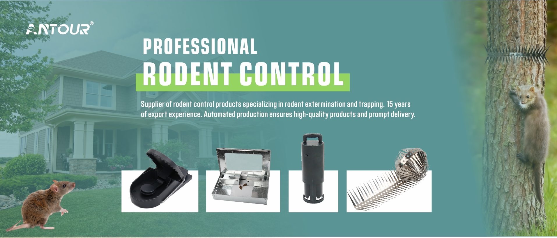 Rodent Control Rodent Control