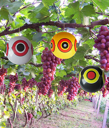 visual bird deterrents