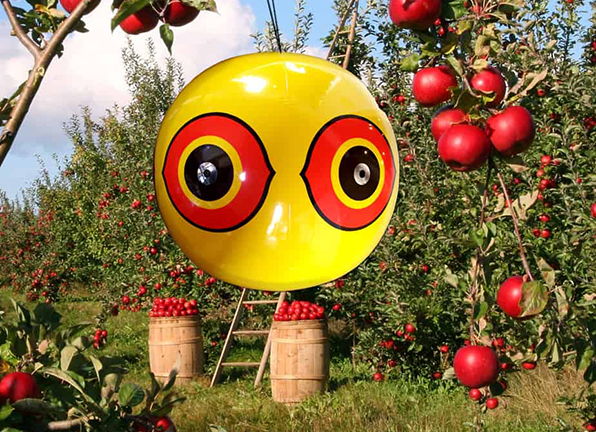 bird repellent scare eye balloons