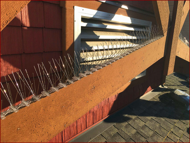 How to Install Bird Spikes on Tile Roof, Gutter, Stucoo or Balcony?