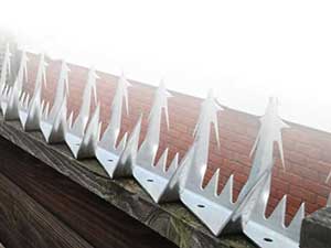metal wall spikes