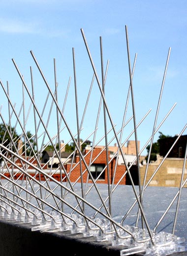 stainless steel bird spikes with pc base