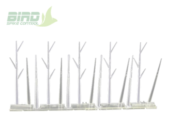 plastic bird spikes