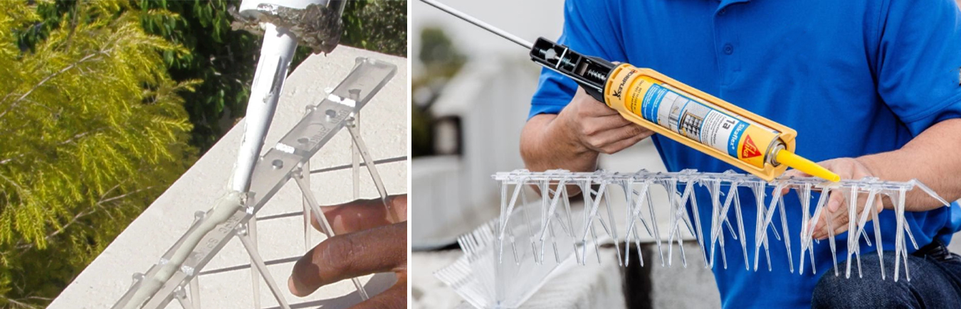 plastic bird spikes inatalltion