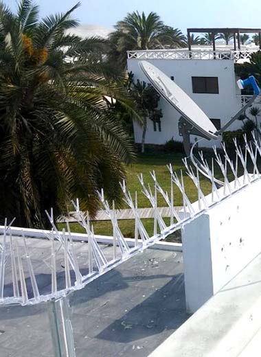 plastic anti bird spike banner