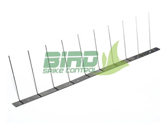 Stainless Steel Bird Spikes