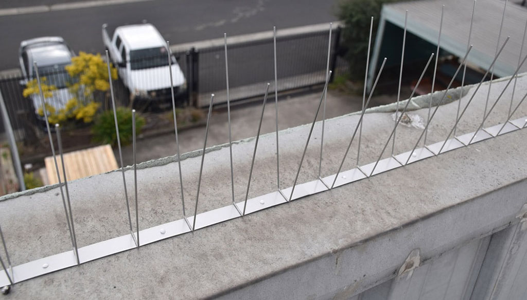 stainless steel bird spike installation
