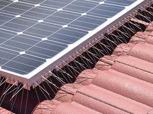 Solar Panel Bird Spikes