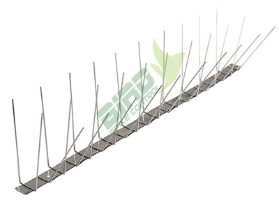 Stainless Steel Bird Spikes