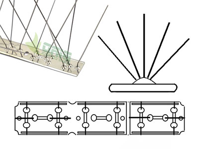 Stainless Steel Anti Pigeon Spikes