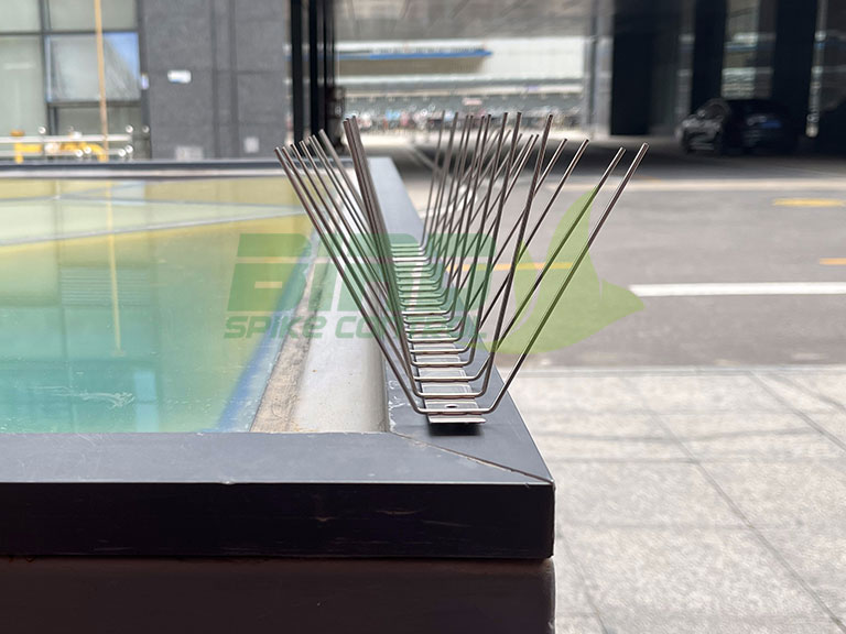 stainless steel bird spikes