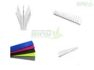 variety of bird spikes