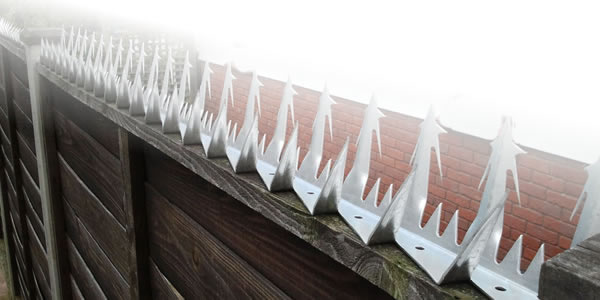 wall spikes